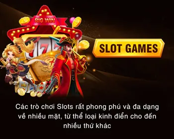 Chương trình VIP 88neo